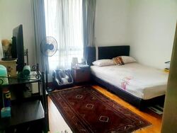 Parkshore (D15), Condominium #539096831